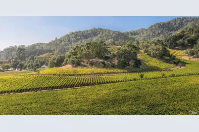45 Vineyard View Drive, Napa, CA 94558 - Photo 7