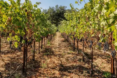 45 Vineyard View Drive, Napa, CA 94558 - Photo 89