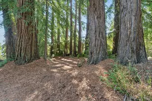 3565 Joy Rd, Occidental, CA 95465 - Photo 43