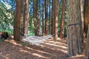 3565 Joy Rd, Occidental, CA 95465 - Photo 45