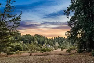 3565 Joy Rd, Occidental, CA 95465 - Photo 45