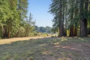 3565 Joy Rd, Occidental, CA 95465 - Photo 43