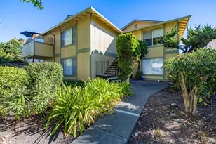 907 Joanne Ct, Rohnert Park, CA 94928 - Photo 39