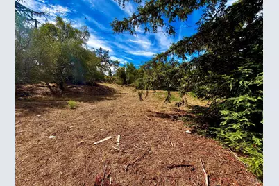 4310 Lichau Road, Penngrove, CA 94951 - Photo 51