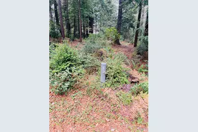 399 Lumberjack Close Road, The Sea Ranch, CA 95497 - Photo 11