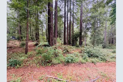 399 Lumberjack Close Road, The Sea Ranch, CA 95497 - Photo 9