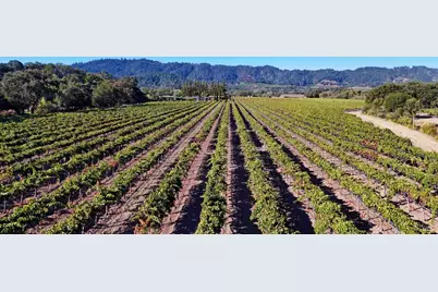 7558 Saint Helena Highway, Napa, CA 94558 - Photo 3