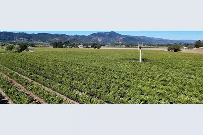 7558 Saint Helena Highway, Napa, CA 94558 - Photo 5