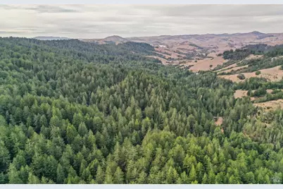 1355 Nicasio Valley Road, Nicasio, CA 94946 - Photo 27