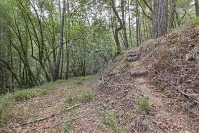 1355 Nicasio Valley Road, Nicasio, CA 94946 - Photo 9