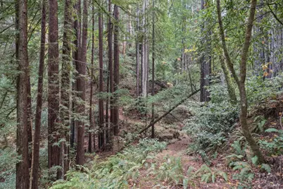 1355 Nicasio Valley Road, Nicasio, CA 94946 - Photo 11