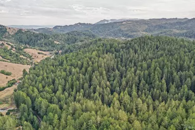 1355 Nicasio Valley Road, Nicasio, CA 94946 - Photo 29