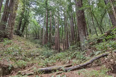 1355 Nicasio Valley Road, Nicasio, CA 94946 - Photo 13