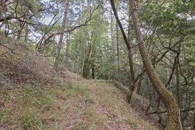 1355 Nicasio Valley Road, Nicasio, CA 94946 - Photo 7