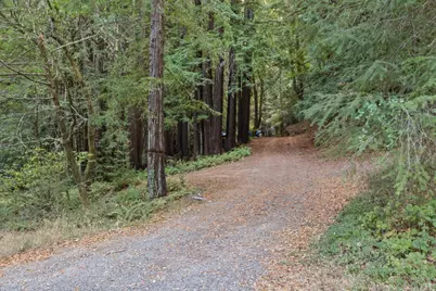 1355 Nicasio Valley Road, Nicasio, CA 94946 - Photo 3