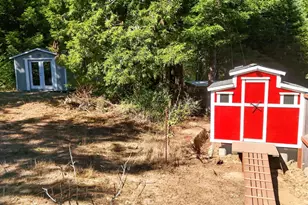 24801 Ten Mile Cut Off Rd, Point Arena, CA 95468 - Photo 41