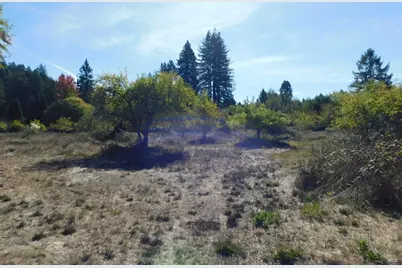 16050 Laughlin Road, Guerneville, CA 95446 - Photo 19