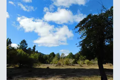 16050 Laughlin Road, Guerneville, CA 95446 - Photo 13
