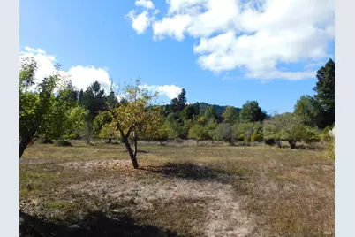 16050 Laughlin Road, Guerneville, CA 95446 - Photo 11