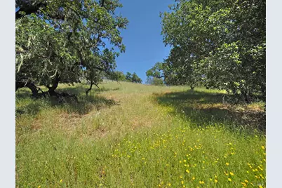 1575 Foxridge Road, Geyserville, CA 95441 - Photo 49