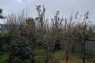 436 Edinburgh St, San Francisco, CA 94112 - Photo 35