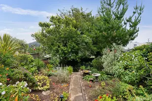 1742 11th Ave, San Francisco, CA 94122 - Photo 37