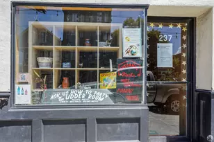 143 Prospect Ave, San Francisco, CA 94110 - Photo 41