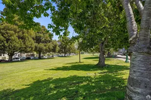 143 Prospect Ave, San Francisco, CA 94110 - Photo 39