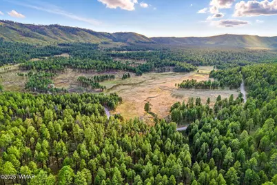 1A Forest Road 26, Alpine, AZ 85920 - Photo 7