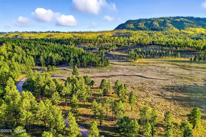 1A Forest Road 26, Alpine, AZ 85920 - Photo 1