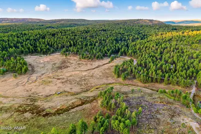 1A Forest Road 26, Alpine, AZ 85920 - Photo 9