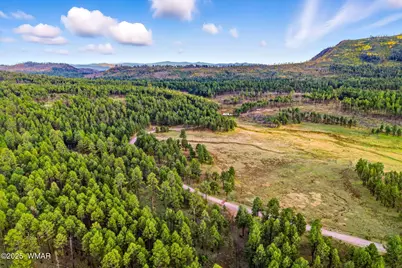 1A Forest Road 26, Alpine, AZ 85920 - Photo 11