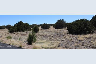 2524 Rock View Drive, Show Low, AZ 85901 - Photo 1