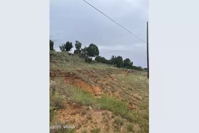 43 Charleen Drive, Concho, AZ 85924 - Photo 5