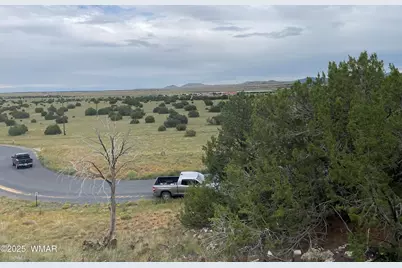 43 Charleen Drive, Concho, AZ 85924 - Photo 7