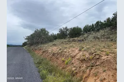 43 Charleen Drive, Concho, AZ 85924 - Photo 13