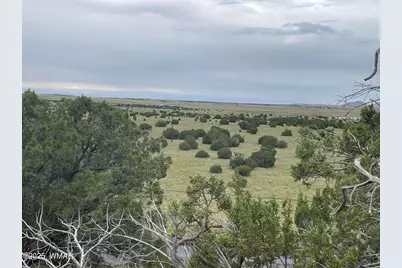 43 Charleen Drive, Concho, AZ 85924 - Photo 9