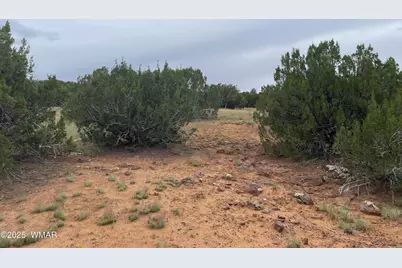 43 Charleen Drive, Concho, AZ 85924 - Photo 3