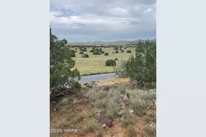 43 Charleen Drive, Concho, AZ 85924 - Photo 11