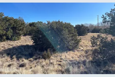 74 Dawn Lane, Concho, AZ 85924 - Photo 3