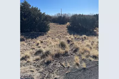 74 Dawn Lane, Concho, AZ 85924 - Photo 1