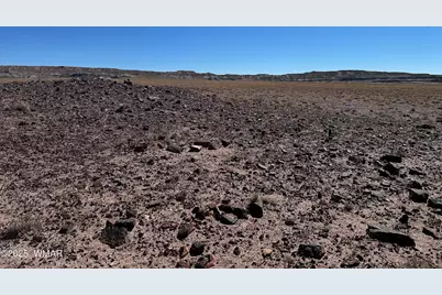 0003 N Porter Road, Joseph City, AZ 86032 - Photo 13