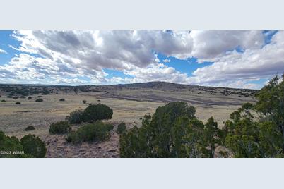 Tbd Cr N5337, Concho, AZ 85924 - Photo 1