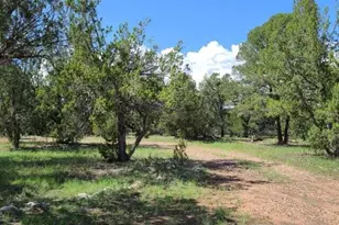 3085&amp 3091 State Route 277 Hwy, Heber, AZ 85928 - Photo 11