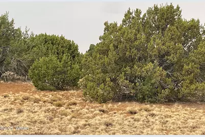 1 County Road 3047, Concho, AZ 85924 - Photo 5