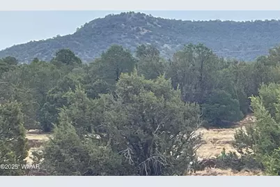 1 County Road 3047, Concho, AZ 85924 - Photo 13