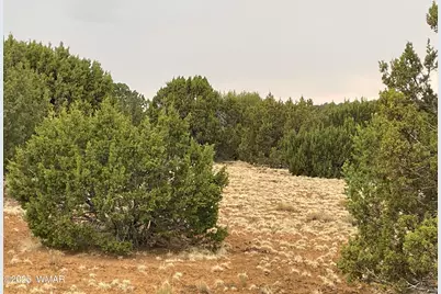 1 County Road 3047, Concho, AZ 85924 - Photo 7