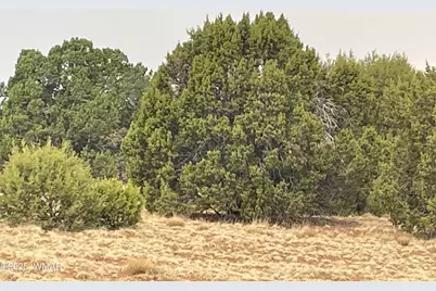 1 County Road 3047, Concho, AZ 85924 - Photo 11