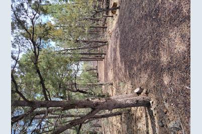 Tbd Zola Road, Lakeside, AZ 85929 - Photo 1