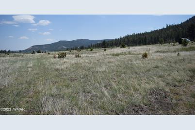 Tbd Cr 2275 1.22 Acre, Nutrioso, AZ 85932 - Photo 1